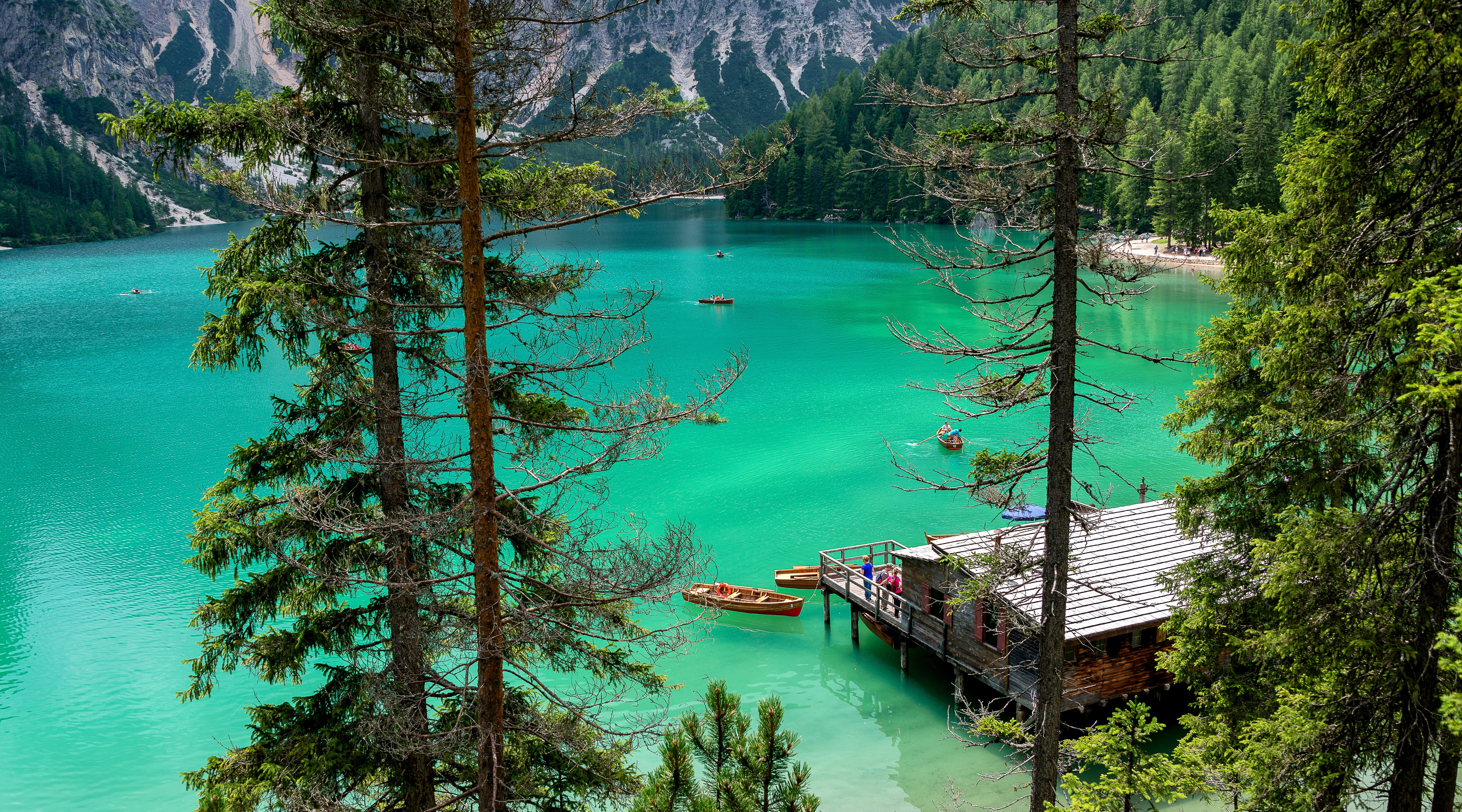 Inspiration 7